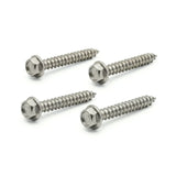 ACTIVE Wall Mount and Hose Reel ST6x45mm Screw Set