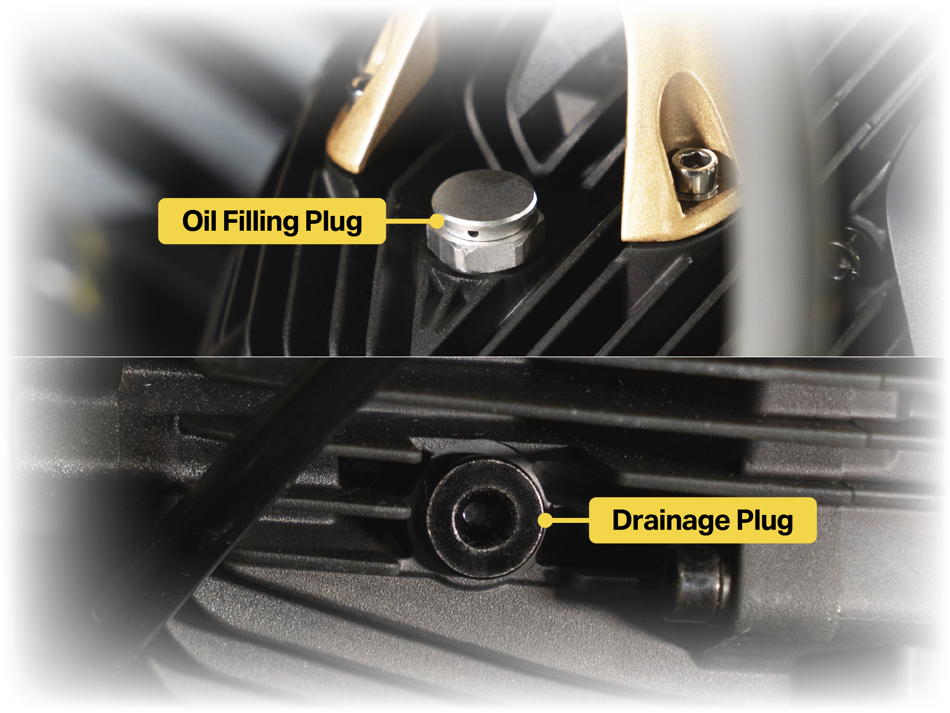 Oil Fill & Drain Plugs